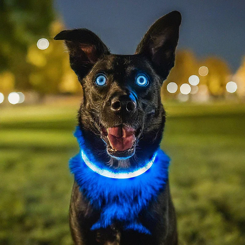 Luminoid LED Dog Collar - Bluetooth - App Control - Glowy Zoey